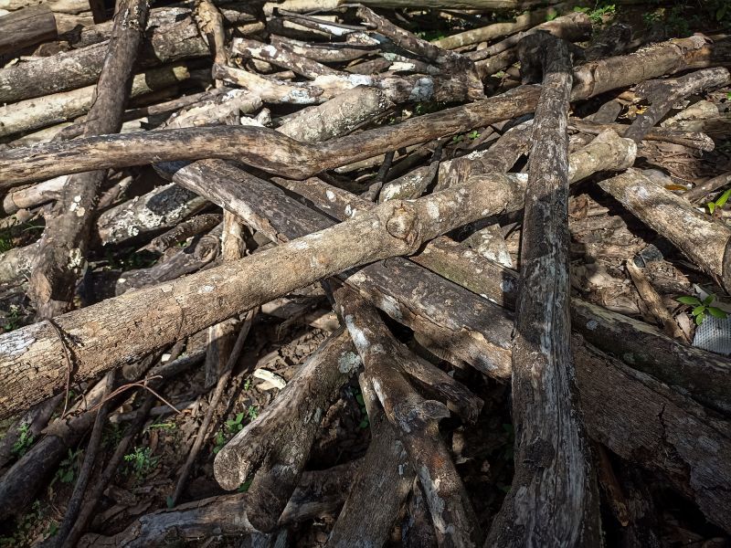Local Wood Pile Removal pros at work
