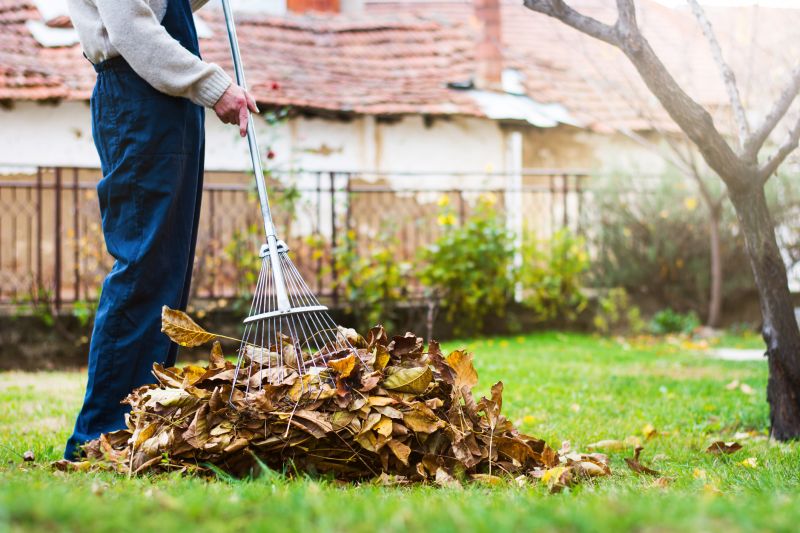 Fall Lawn Cleanup Service